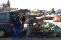 20190402_160938_TerraBoGa.de_Schwarzerde_CCGC