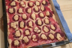 Pflaumenkuchen in Münster
